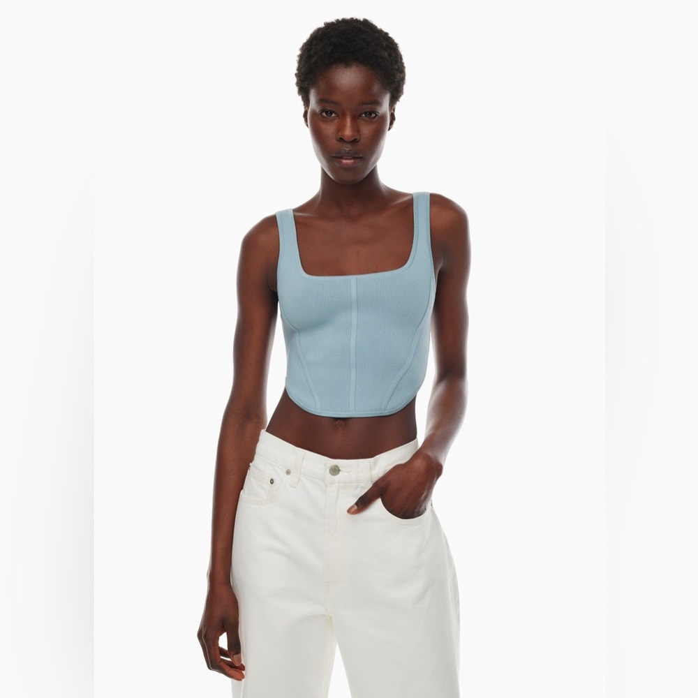 Aritzia Sculpt Knit Bustier